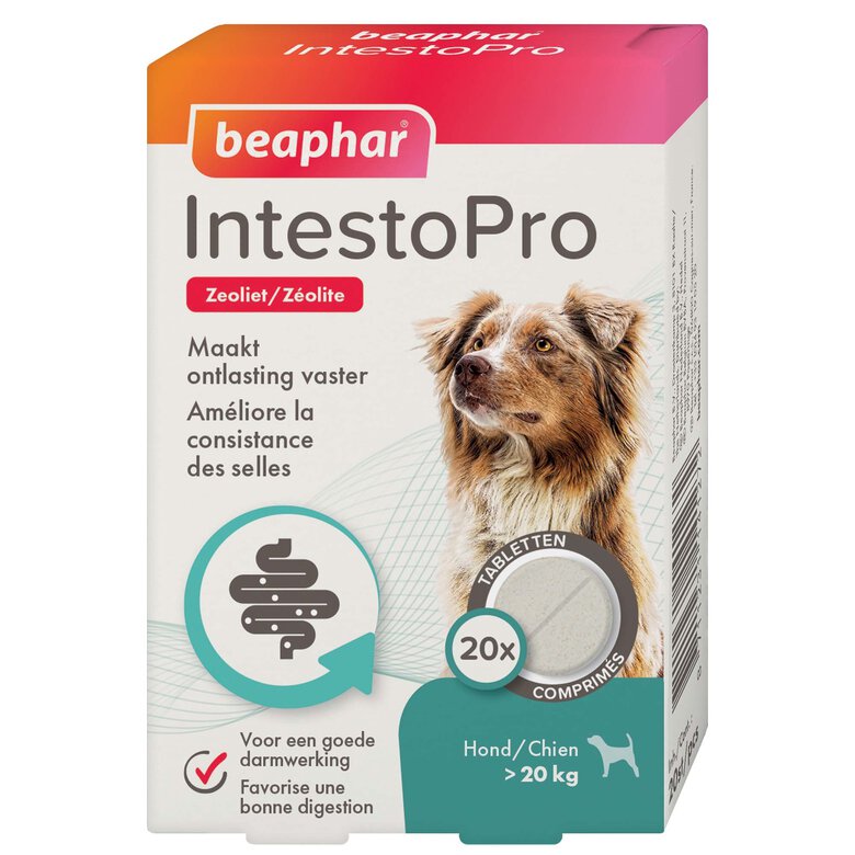 Beaphar - IntestoPro comprimés améliore les selles des chiens (> 15kg) 20 cps image number null
