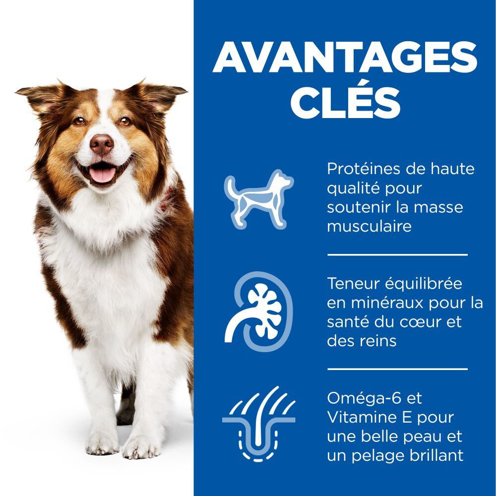 Hill's Science Plan - Croquettes Mature Adult 7+ pour chien &acirc;g&eacute; au poulet - 2,5kg Image num&eacute;ro 12