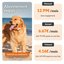 Weenect - Traceur GPS L/XL Edition 2023 pour Chiens - Blanc Indicateur image num&eacute;ro 11