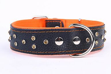 Yogipet - Collier Cuir Large Crystal pour Chien - Orange