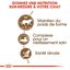 Royal Canin - Croquettes Senior Sterilised 12+ pour Chat Senior - 2 Kg Indicateur image numéro 4