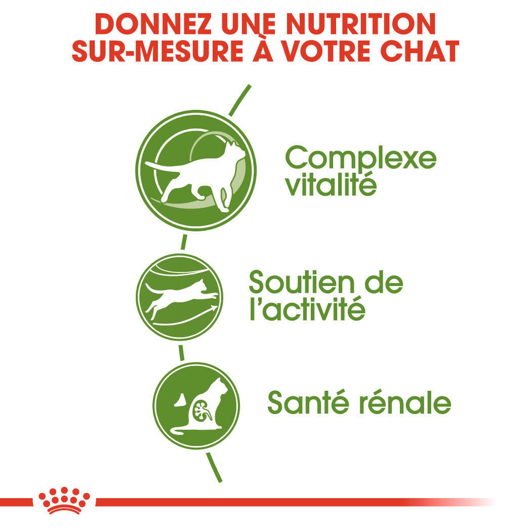 Royal Canin - Croquettes Outdoor7+ pour Chat d'Ext&eacute;rieur - 10Kg Image num&eacute;ro 3