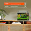 Dennerle - Comprimés d'engrais pour Racines Plant Care Pro Root - x10 Indicateur image numéro 4