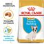 Royal Canin - Croquettes Bouledogue Français Junior pour Chiot - 10Kg Indicateur image numéro 3