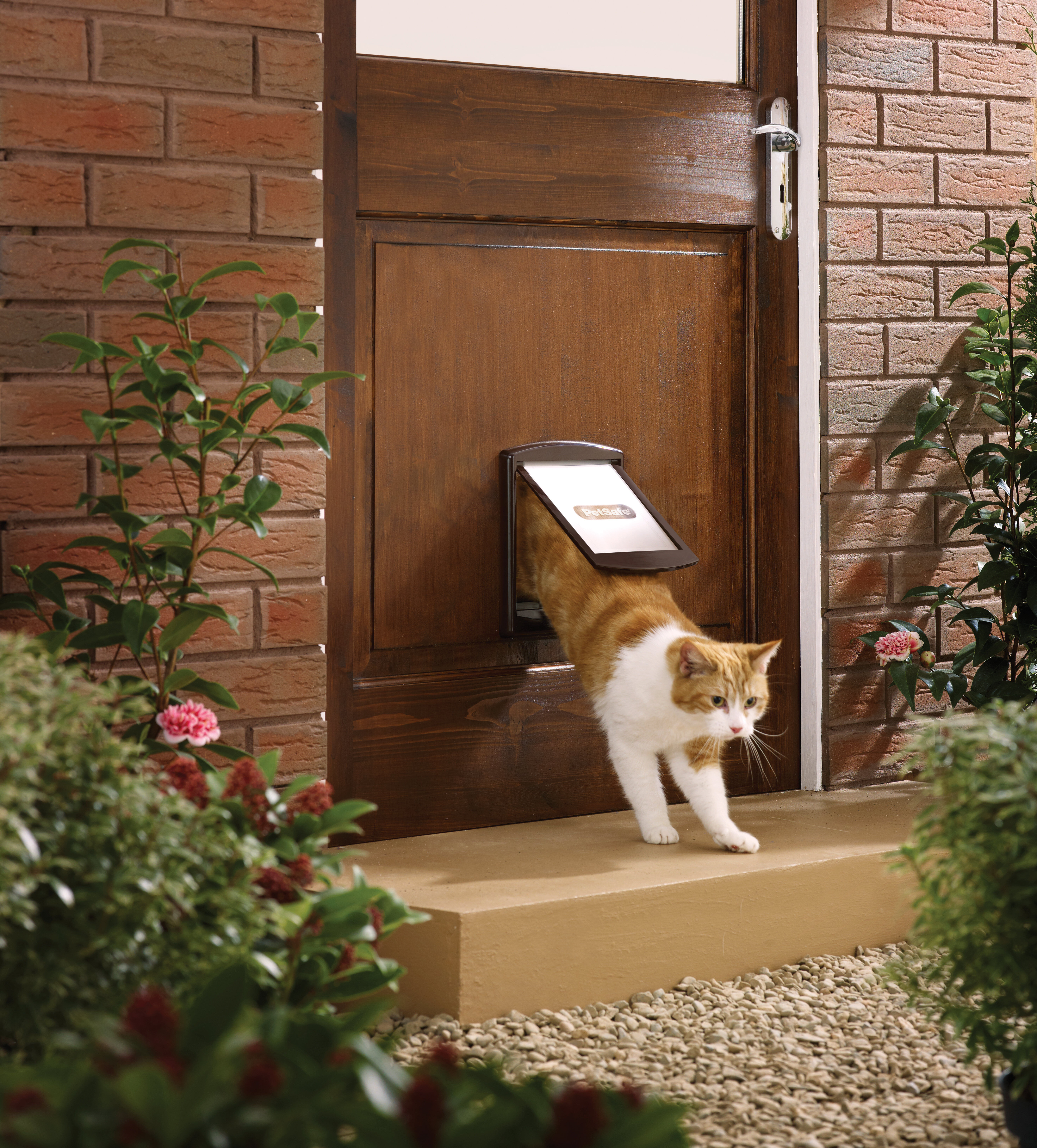 PetSafe - Porte 2 Positions Brun pour Chats - 7Kg Image num&eacute;ro 3