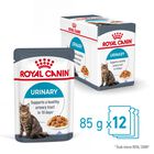 ROYAL CANIN -  SACHET FRAICHEUR URINARY EN GELEE CHAT ADULTE SANTE URINAIRE - 12x85g image number null
