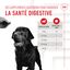 Royal Canin - Aliment Complémentaire Adult Digestion Chews pour Chiens - 160g Indicateur image numéro 5