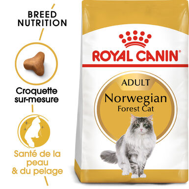 Royal Canin - Croquettes Norwegian Adult pour Chat - 2Kg