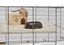 Ferplast - Cage Karat 100 pour Petits Rongeurs - 50x98x61cm Indicateur image numéro 2