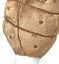 Tootoy! - Peluche Cuisse de Poulet Indicateur image numéro 2