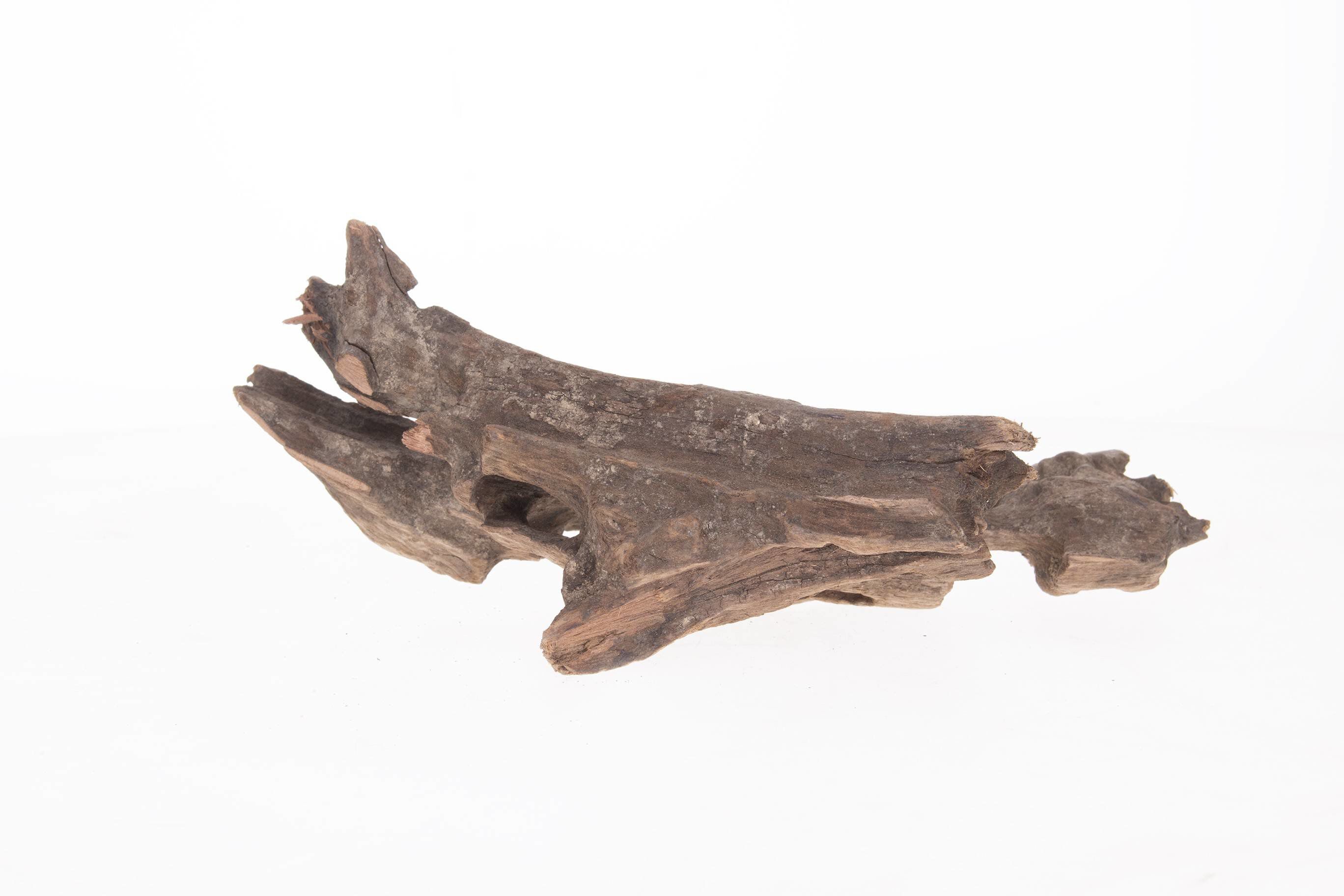 Aquavie - Racine Pookanatur 10/25cm - S Image num&eacute;ro 1