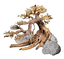 Dennerle - Kit de Décoration Naturelle Box Bonsai Indicateur image numéro 3