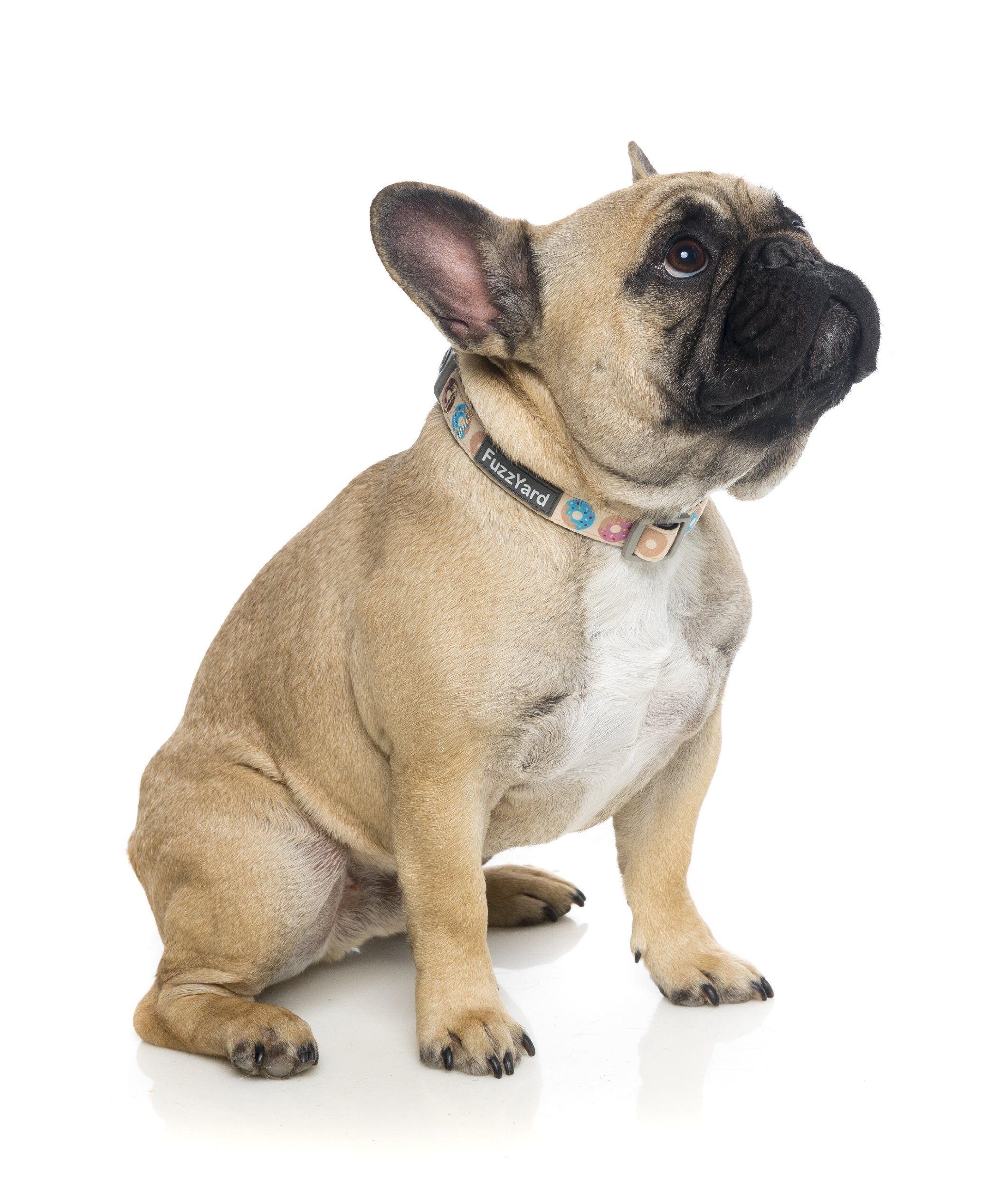 FuzzYard - Collier Go Nuts pour Chien - L Image num&eacute;ro 2