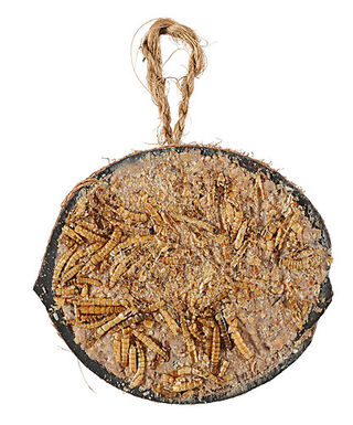 Zolux - Demi noix de coco avec graisse et vers de farine - 200g