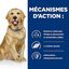 Hill's - Croquettes Prescription Diet J/D Mobility pour Chiens - 12Kg Indicateur image numéro 5