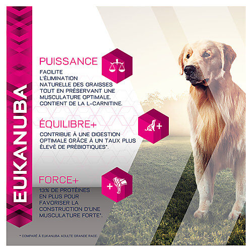 Eukanuba - Croquettes Breed Specific Golden Retriever Poulet - 12Kg Image num&eacute;ro 7