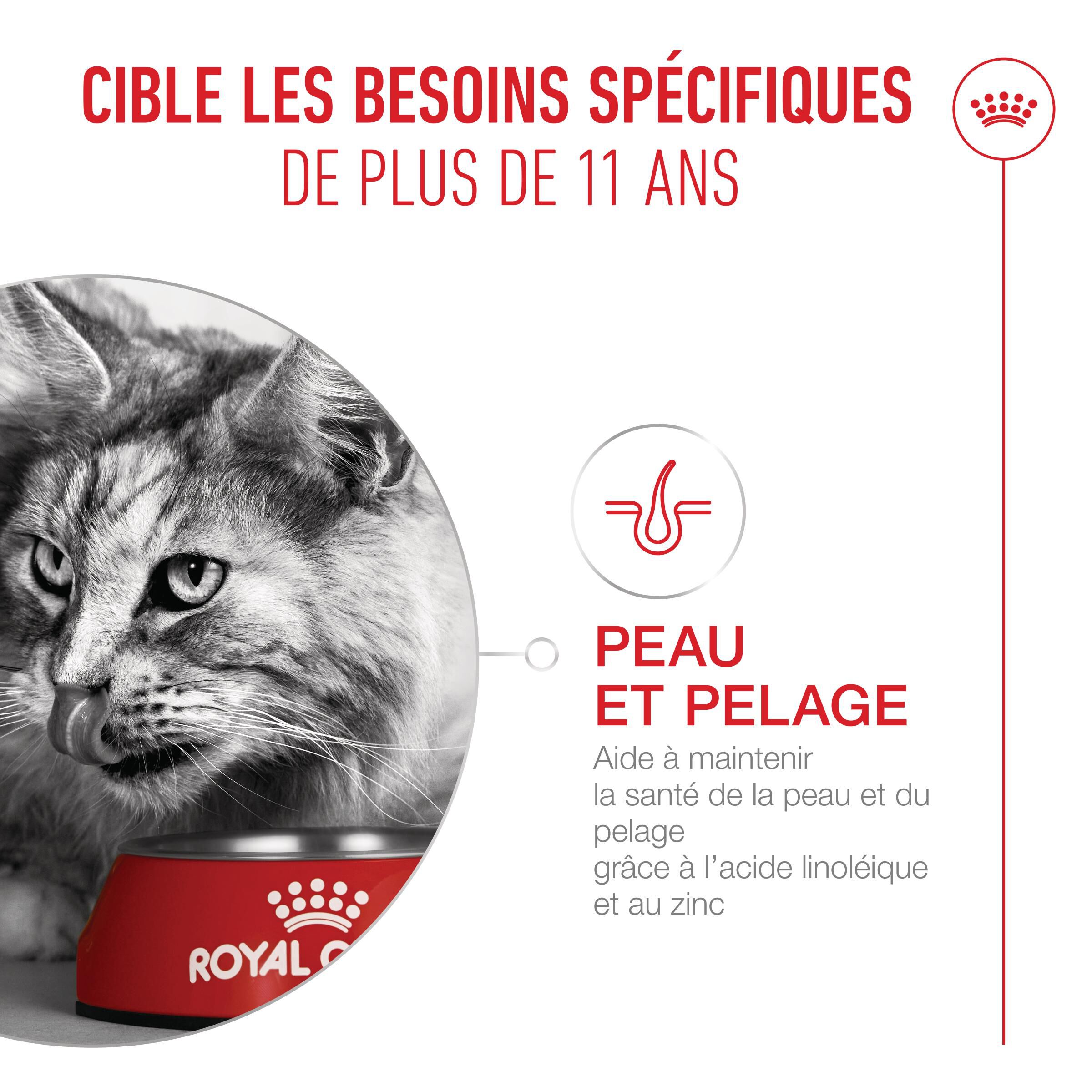 Royal Canin - Croquettes Ageing Sterilised 11+ pour Chats Senior St&eacute;rilis&eacute;s - 400g Image num&eacute;ro 5