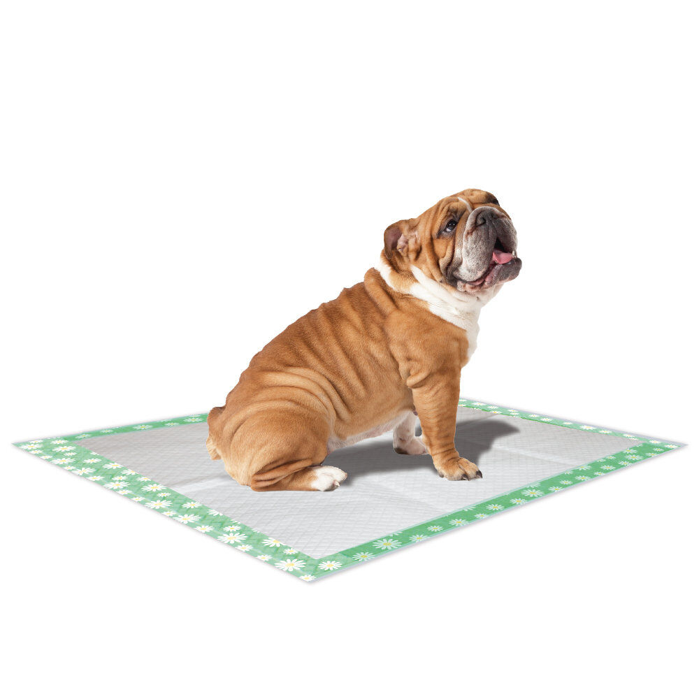Croci - Tapis Hyg&eacute;nique Super Nappy Daisy pour Chiots - 57x54cm Image num&eacute;ro 1