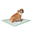 Croci - Tapis Hygénique Super Nappy Daisy pour Chiots - 57x54cm Indicateur image numéro 1
