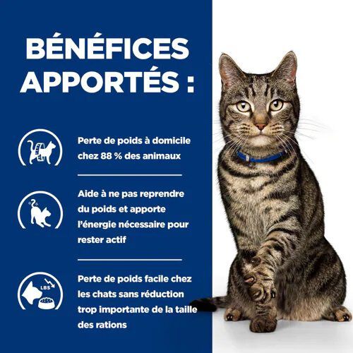 Hill's - Croquettes Prescription Diet Metabolic pour Chats - 1,5Kg Image num&eacute;ro 4