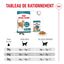 Royal Canin - Croquettes Ageing Sterilised 11+ pour Chats Senior Stérilisés - 400g Indicateur image numéro 11