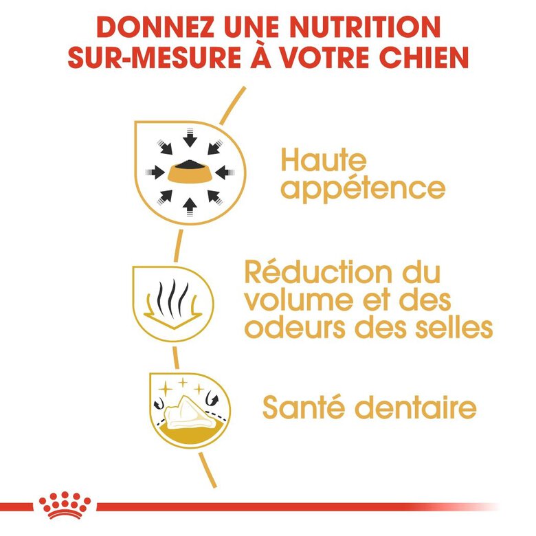 Royal Canin - Croquettes Chihuahua pour Chien Adulte - 3Kg Image numéro 5 Royal Canin - Croquettes Chihuahua pour Chien Adulte - 3Kg Image numéro 5