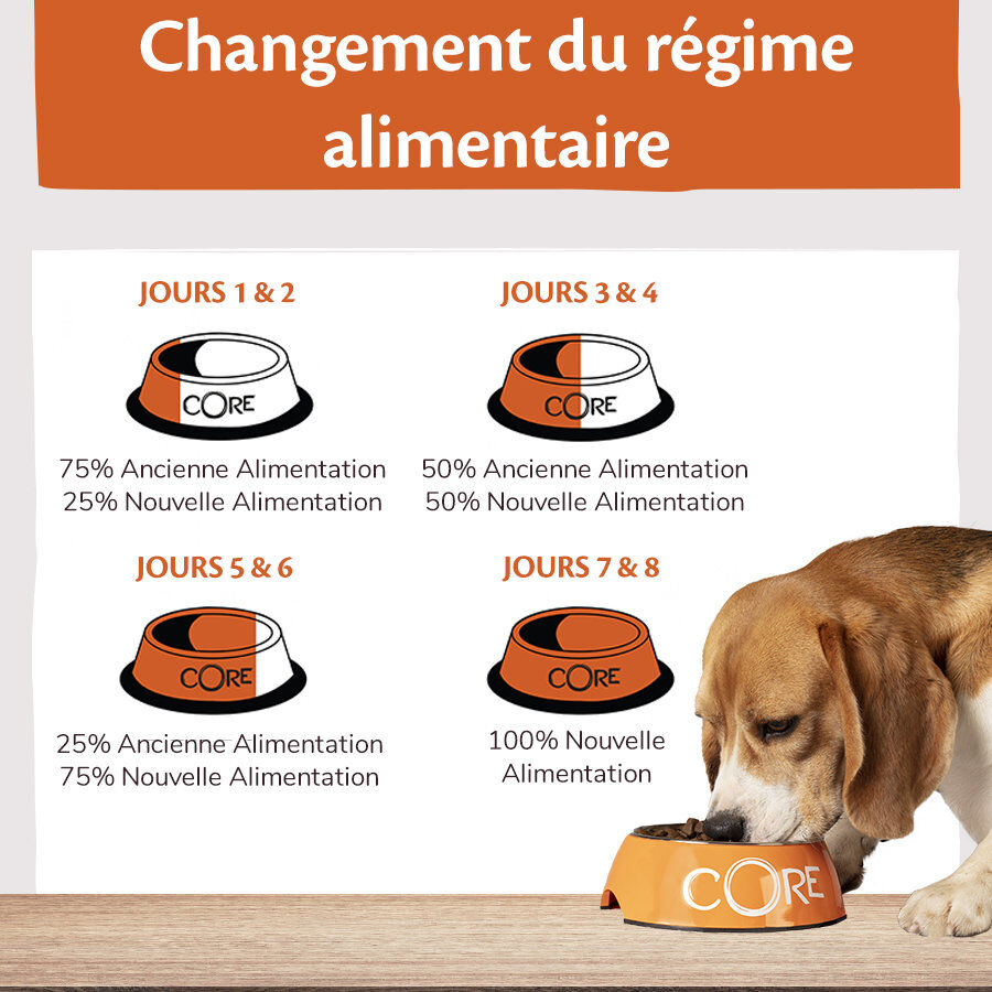 Wellness CORE - Croquettes Original Dinde et Poulet pour Chien - 10Kg Image num&eacute;ro 5
