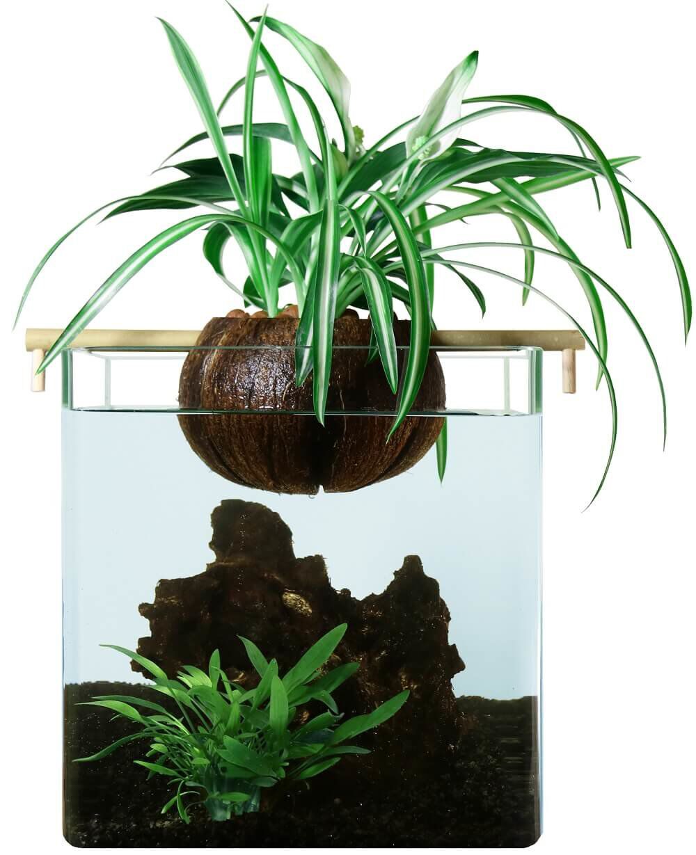 CocoPlant - Filtration Naturelle CocoGarden sans Pompe pour Aquarium Image num&eacute;ro 1