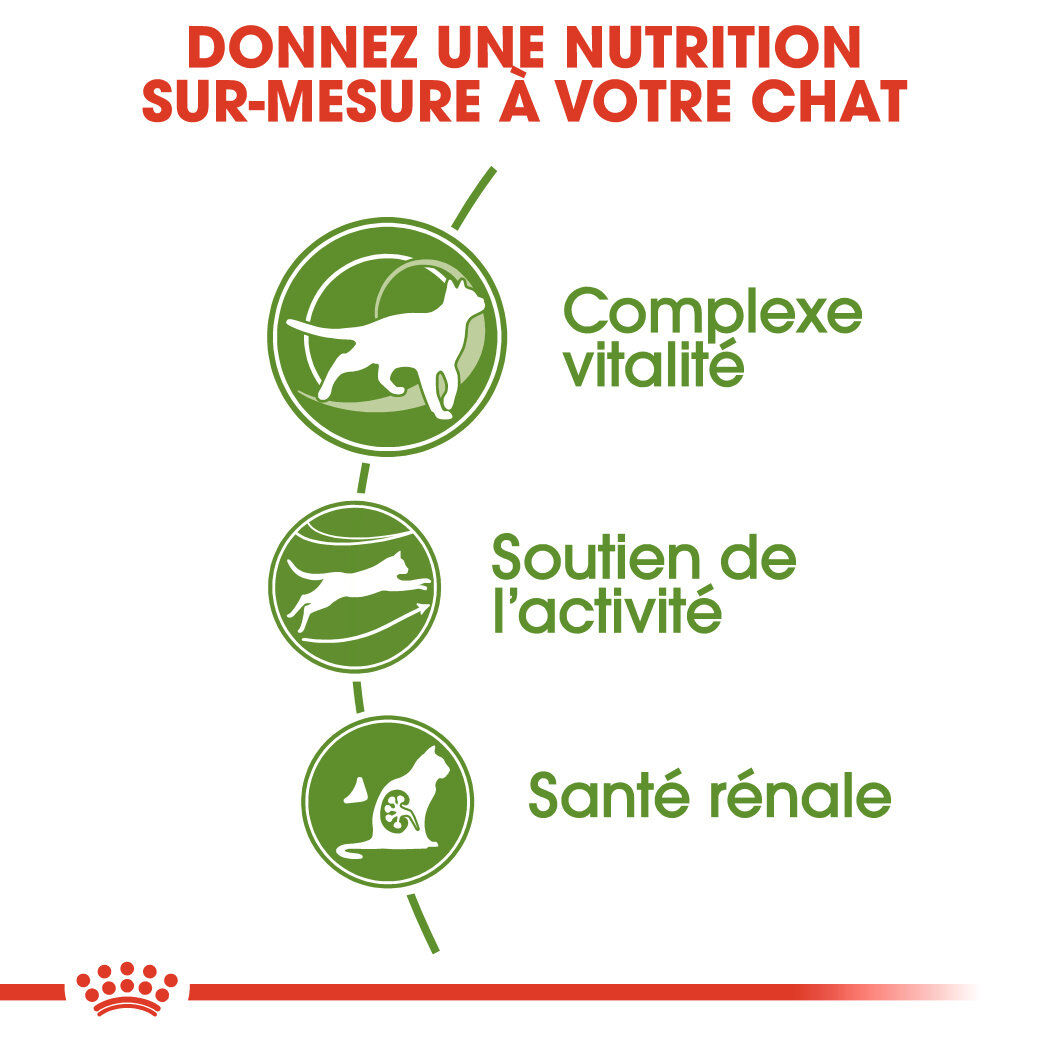 Royal Canin - Croquettes Outdoor7+ pour Chats d'Ext&eacute;rieurs - 4Kg Image num&eacute;ro 3