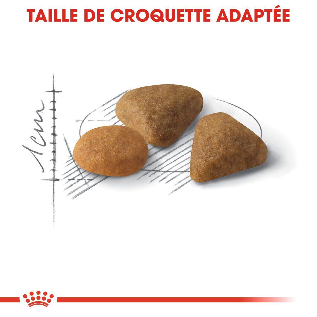 Royal Canin - Croquettes Savour Exigent pour Chat - 4Kg Image num&eacute;ro 4