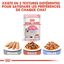 Royal Canin - Sachets Kitten en Mousse pour Chaton - 12x85g Indicateur image numéro 7