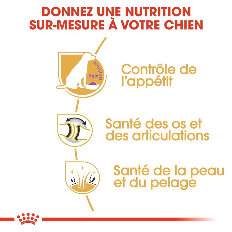 Royal Canin - Croquettes Labrador pour Chien Stérilisé - 12Kg Image numéro 5 Royal Canin - Croquettes Labrador pour Chien Stérilisé - 12Kg Image numéro 5
