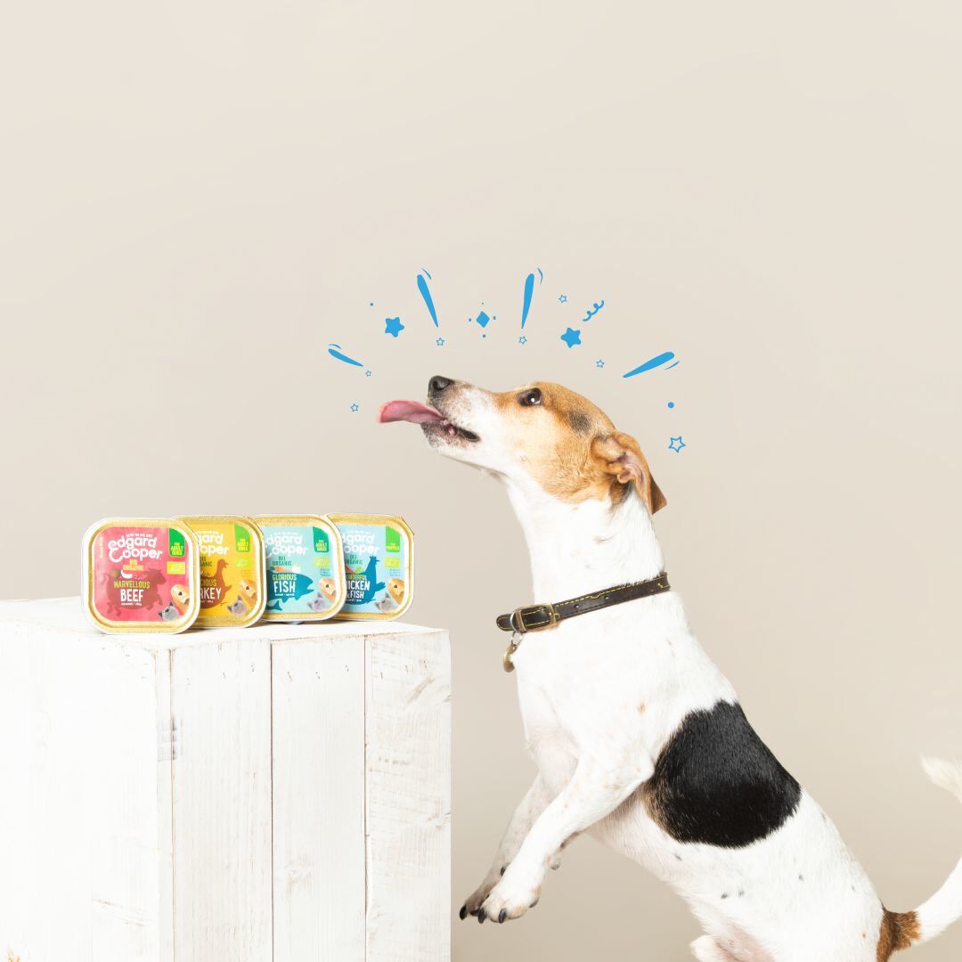 Edgard & Cooper - Barquette BIO au Poisson avec Carottes et Fenouil pour Chien - 100g Image num&eacute;ro 3