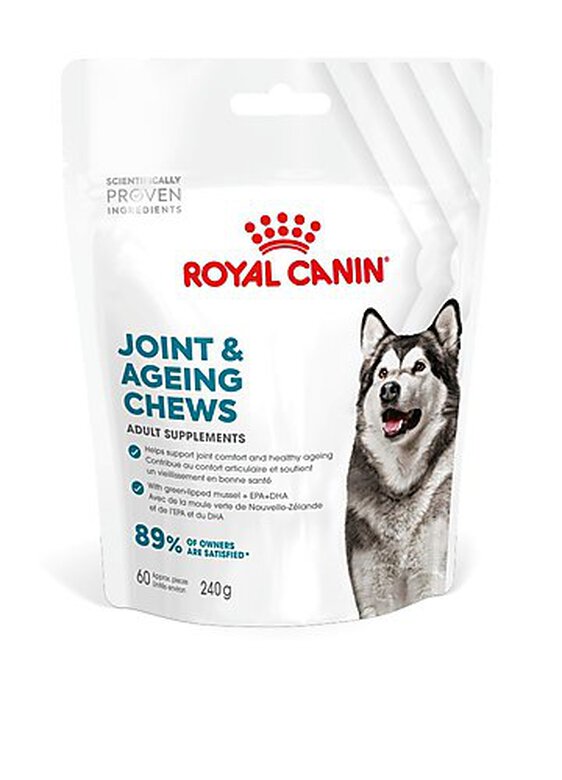 Royal Canin - Aliment complémentaire Adult Joint & Agieing Chews pour Chiens - 240g Image numéro 2 Royal Canin - Aliment complémentaire Adult Joint & Agieing Chews pour Chiens - 240g Image numéro 2