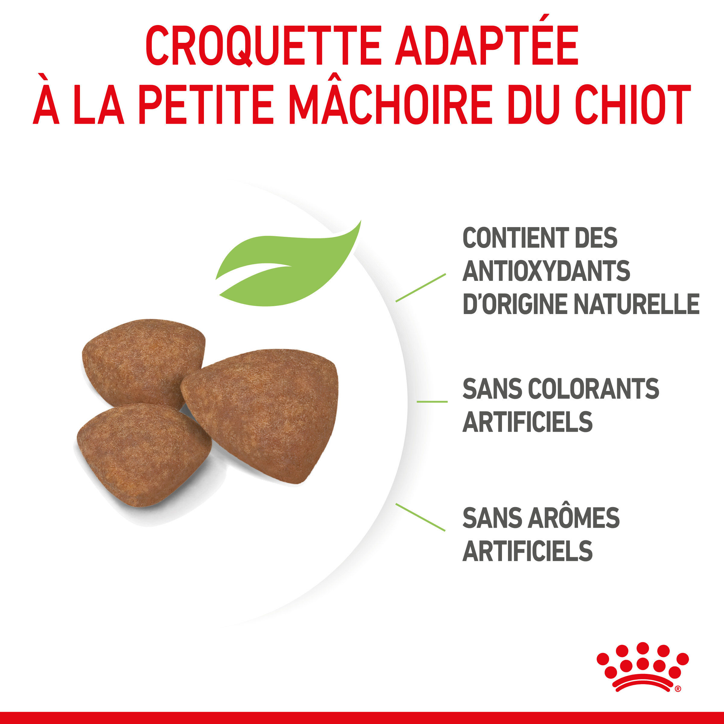 Royal Canin - Croquettes Mini Puppy pour Chiot - 4Kg Image num&eacute;ro 6