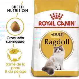Royal Canin - Croquettes Ragdoll Adult Pour Chat