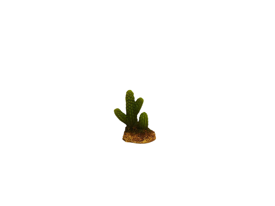 Amtra - D&eacute;coration Mexico Cactus 2 pour Aquarium Image num&eacute;ro 1
