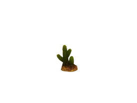 Amtra - D&eacute;coration Mexico Cactus 2 pour Aquarium