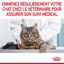 Royal Canin - Croquettes Hairball Care pour Chat - 4Kg Indicateur image numéro 10