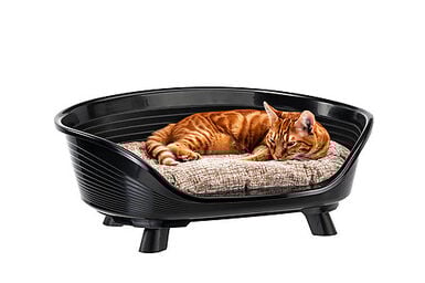 Ferplast - Corbeille Plastique Throne 8 pour Chiens - Noir