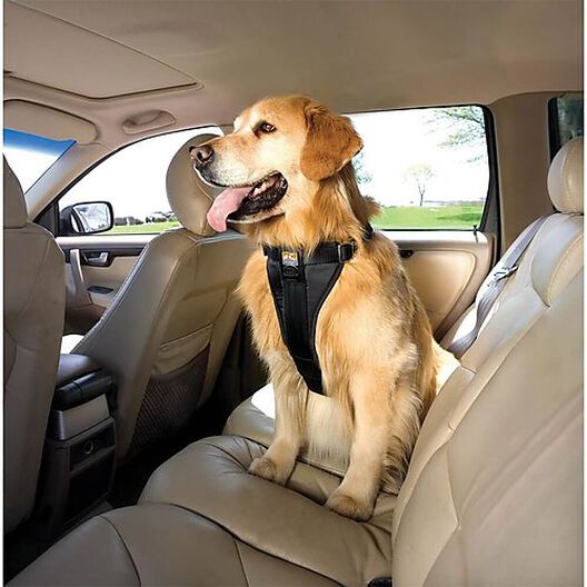 Harnais de sécurité chien voiture xl 85-110cm
