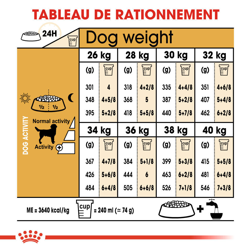 Royal Canin - Croquettes Labrador Adult pour Chiens de plus de 15 Mois - 3Kg Image num&eacute;ro 5