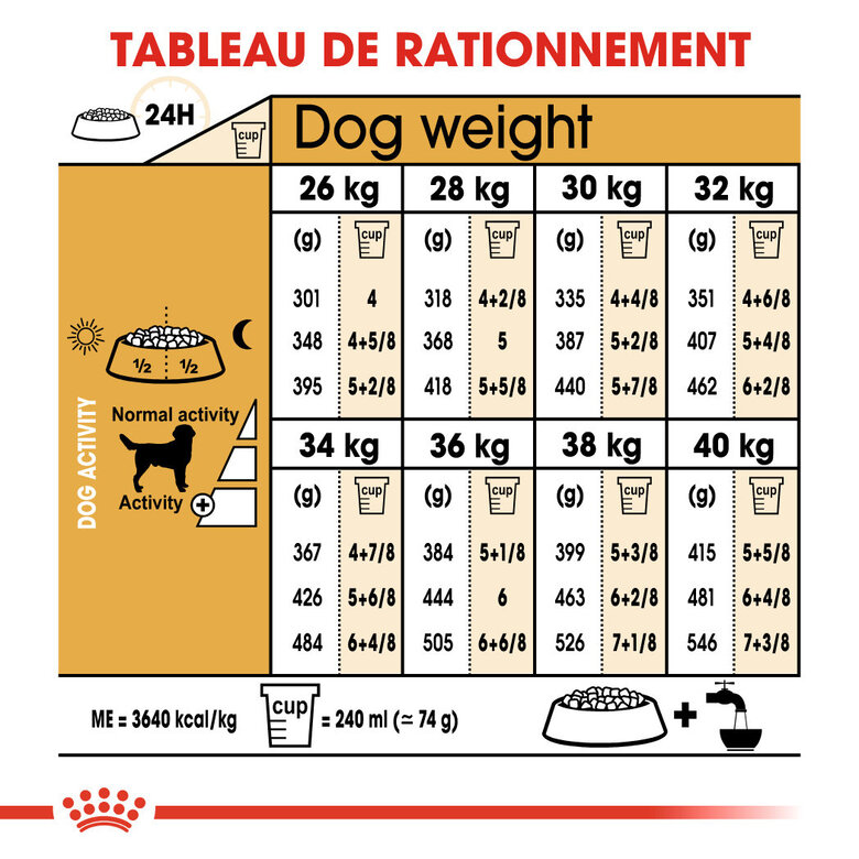 Royal Canin - Croquettes Labrador Adult pour Chiens de plus de 15 Mois - 3Kg Image numéro 5 Royal Canin - Croquettes Labrador Adult pour Chiens de plus de 15 Mois - 3Kg Image numéro 5