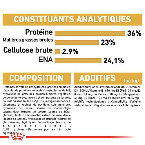 Royal Canin - Croquettes Maine Coon pour Chaton - 2Kg Image num&eacute;ro 7