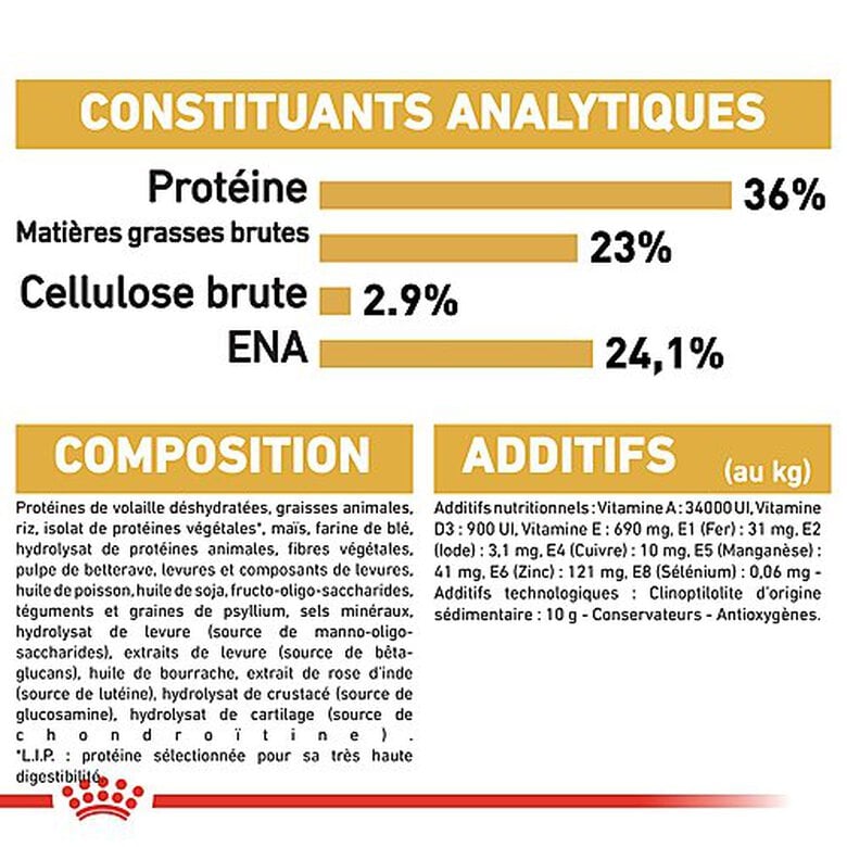 Royal Canin - Croquettes Maine Coon pour Chaton - 2Kg Image numéro 7 Royal Canin - Croquettes Maine Coon pour Chaton - 2Kg Image numéro 7