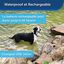 PetSafe - Système d'Aide à l'Education pour Chiens - 100m Indicateur image numéro 8