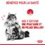 Royal Canin - Hair Skin Care 2kg Indicateur image numéro 4