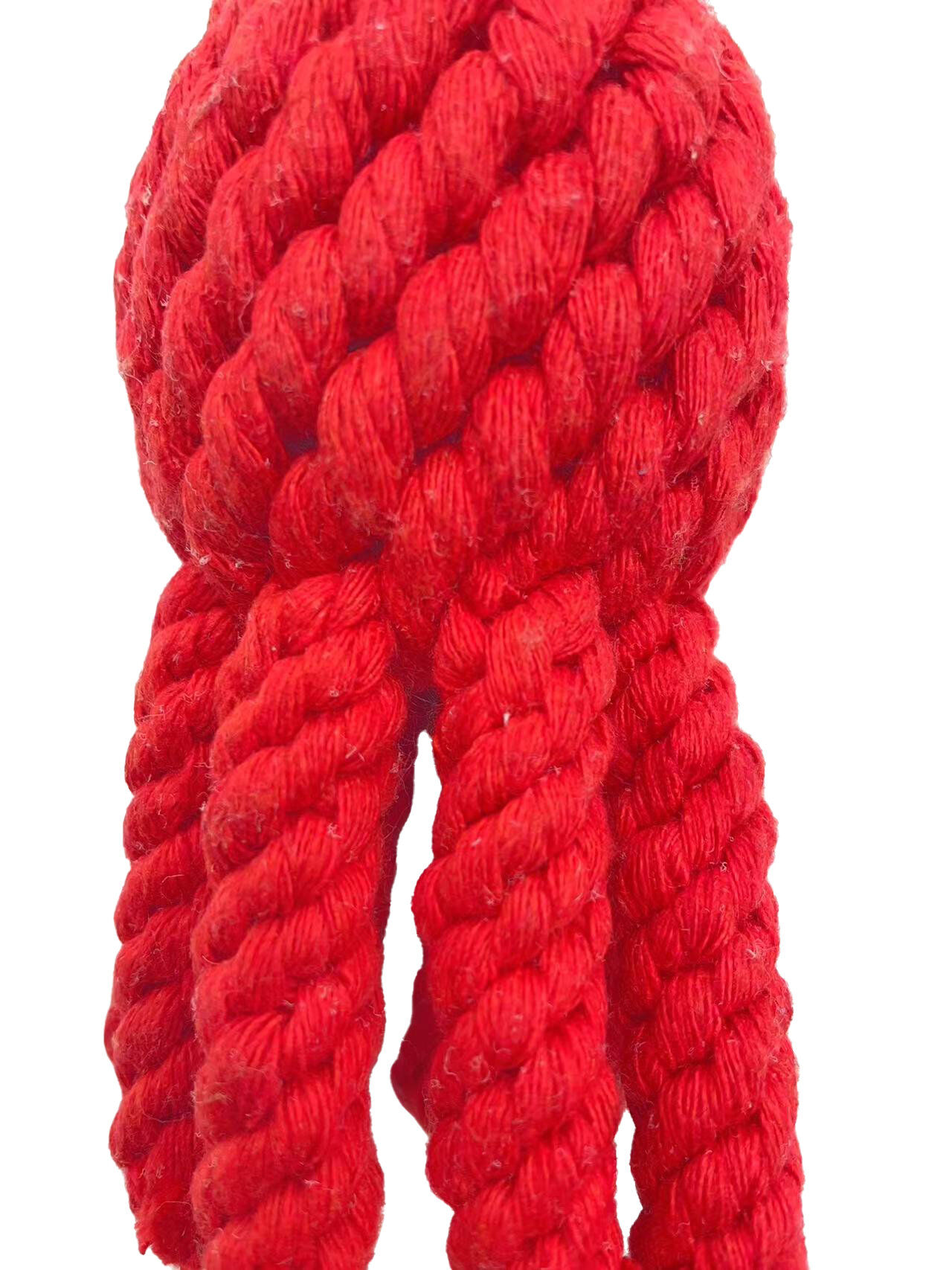 Tootoy! - Hypocampe Poulpe Corde Image num&eacute;ro 2