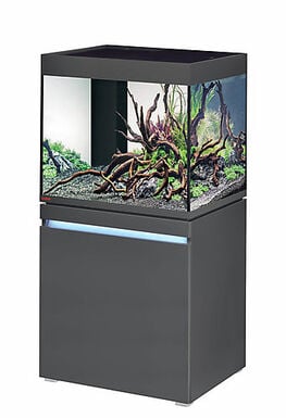 Eheim - Aquarium Incpiria 230L avec Meuble - Graphit