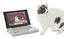 Leeby - Griffoir Ordinateur en Carton pour Chats - 33x23cm Indicateur image numéro 2